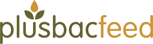 Plusbac_Full logo_Digital_Feed
